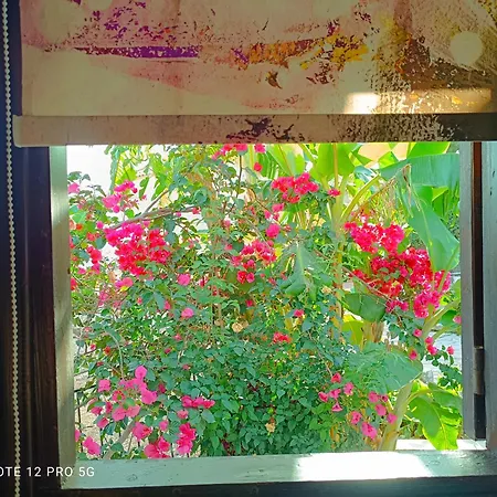 Spasmata Village Marios Only Adults Minia